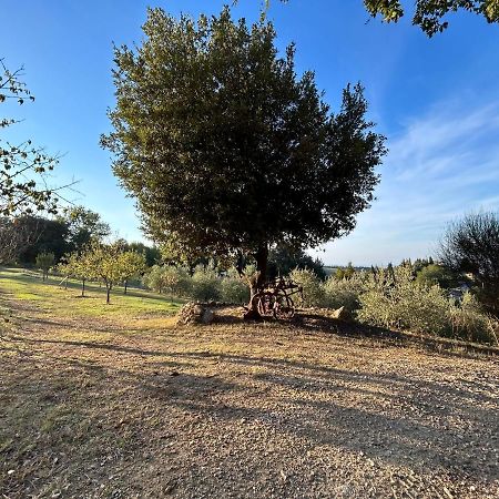 Casale Di Valle Mora San Gimignano Buitenkant foto
