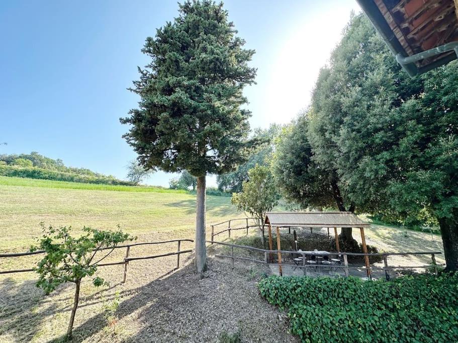 Casale Di Valle Mora San Gimignano Buitenkant foto