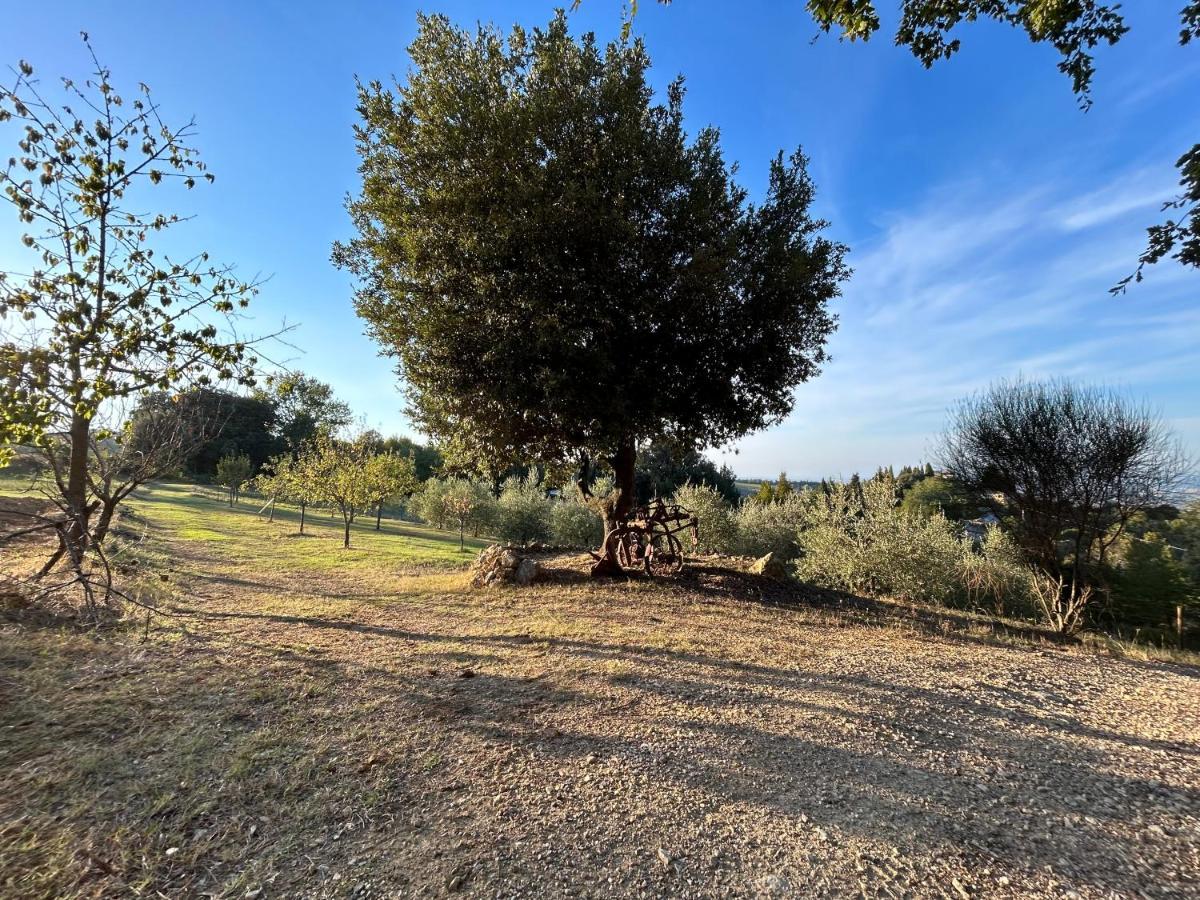 Casale Di Valle Mora San Gimignano Buitenkant foto